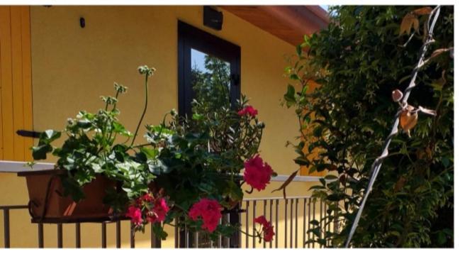 Agriturismo La Fredda Apartmán Sommacampagna